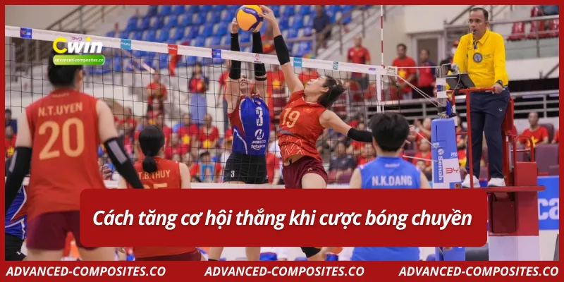 Cách tăng cơ hội thắng khi cược bóng chuyền