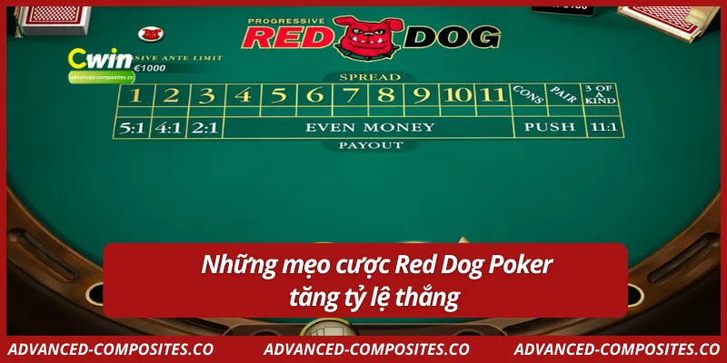 Những mẹo cược Red Dog Poker tăng tỷ lệ thắng