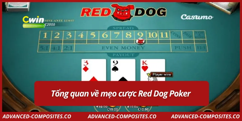 Tổng quan về mẹo cược Red Dog Poker